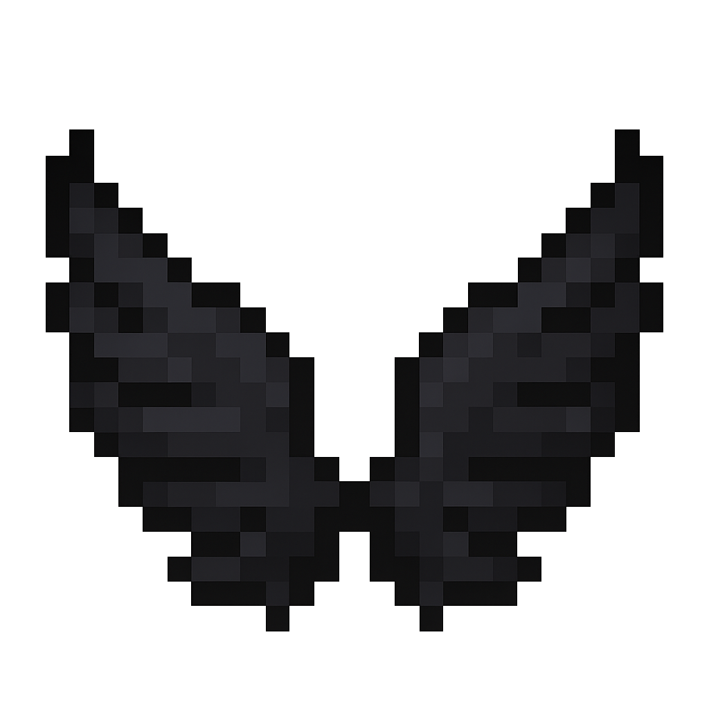 Permiso /Fly Permanente